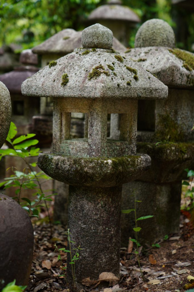 北山都乾園｜タイトル