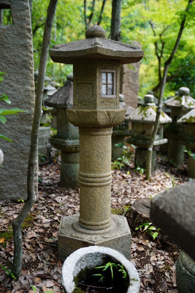 北山都乾園｜タイトル