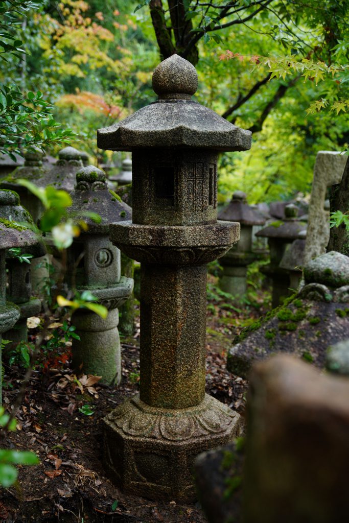 北山都乾園｜タイトル